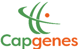 logo du partenaire