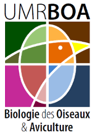 logo du partenaire