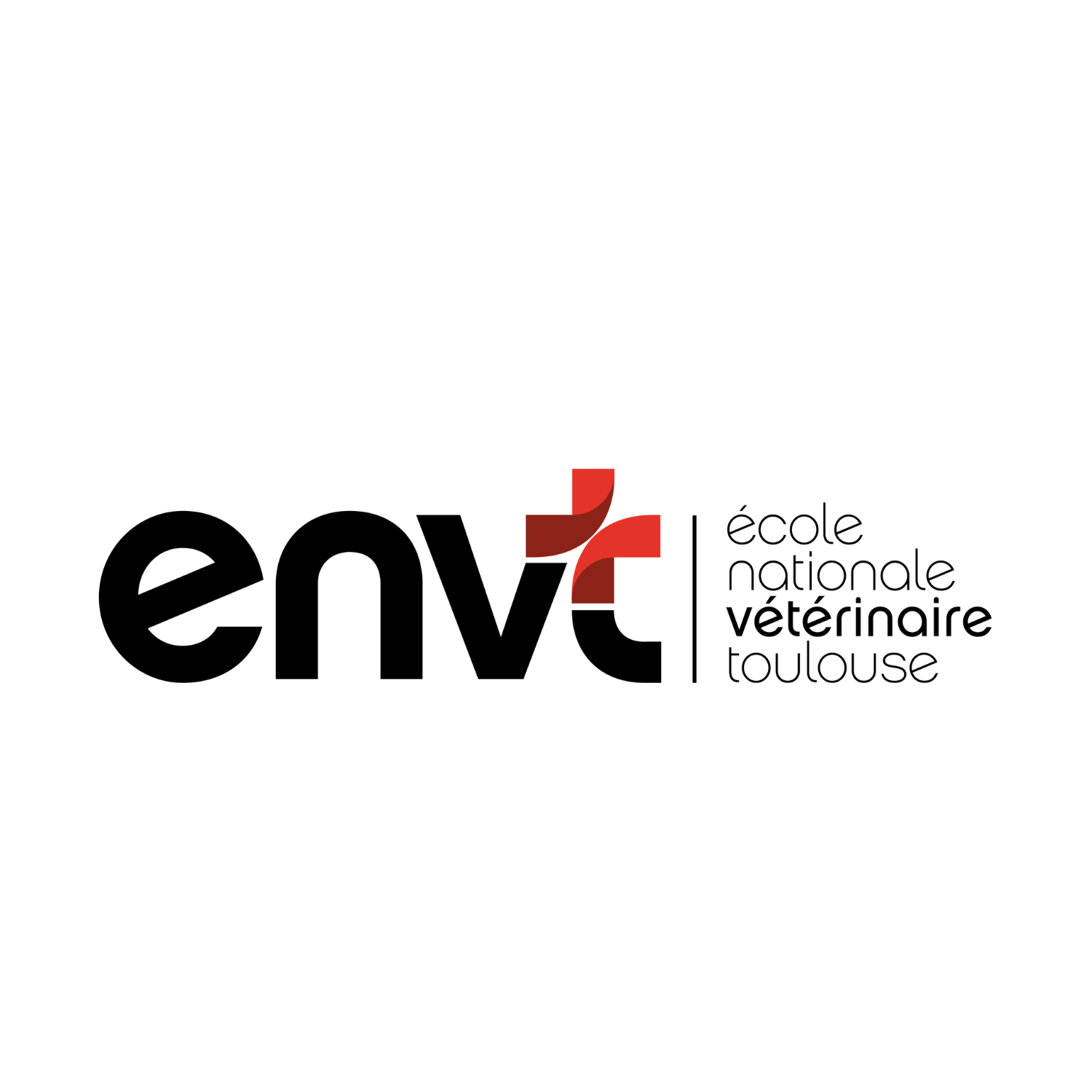 logo du partenaire