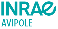 logo du partenaire