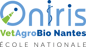 logo du partenaire
