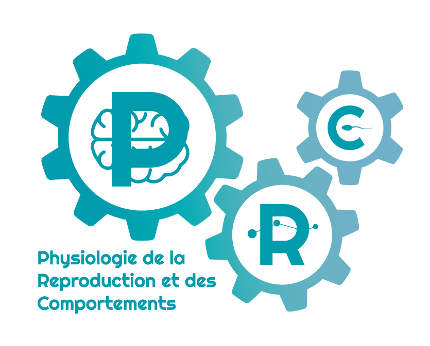 logo du partenaire