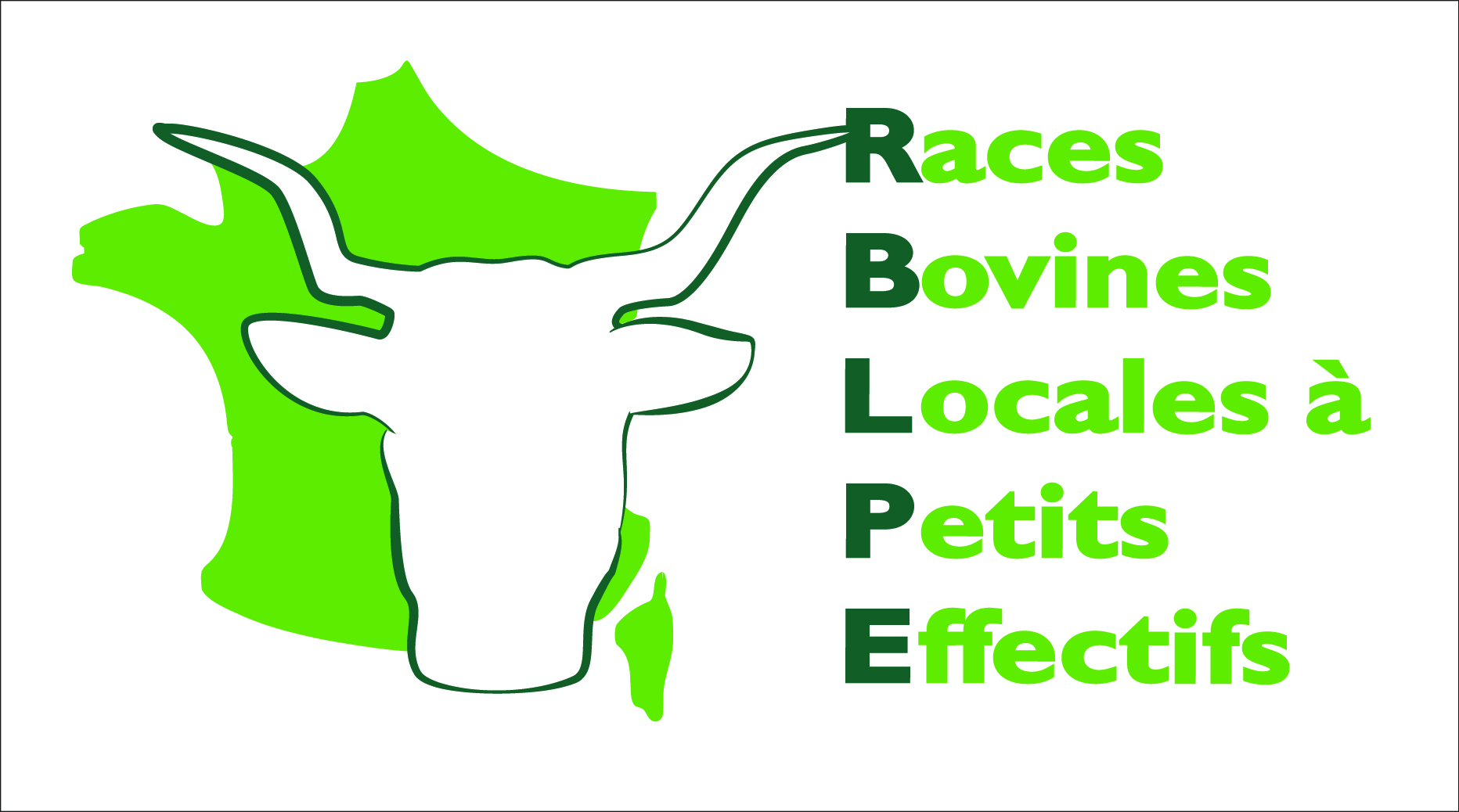 logo du partenaire