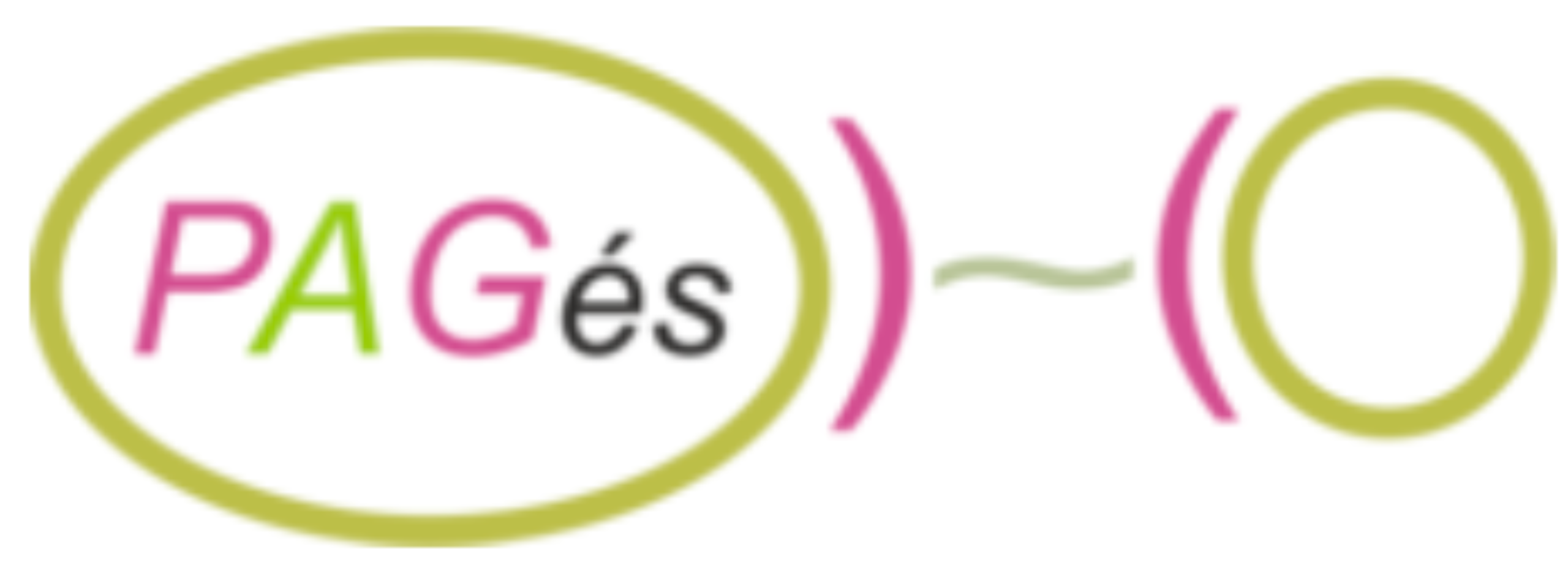 logo du partenaire