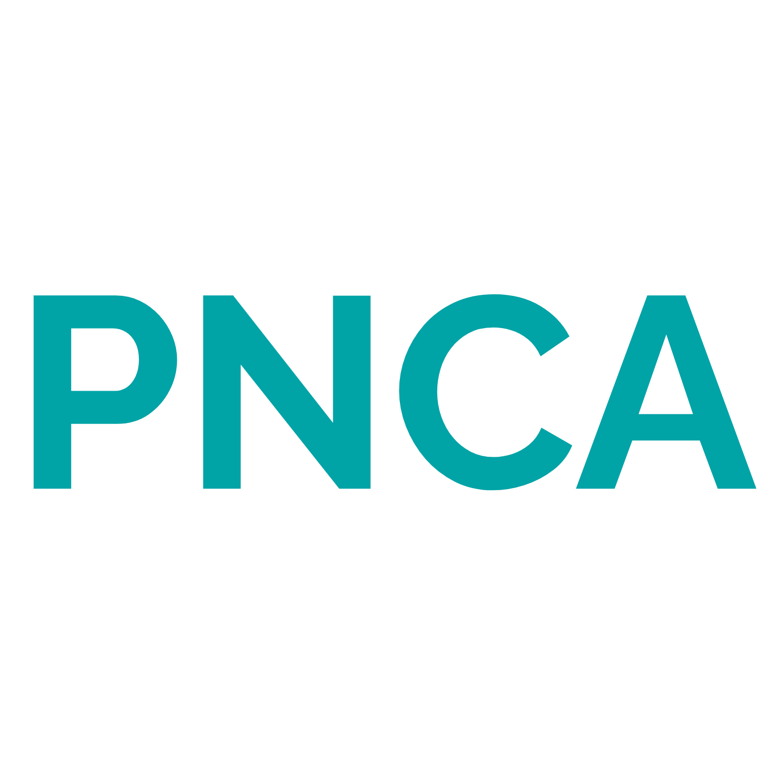 logo du partenaire