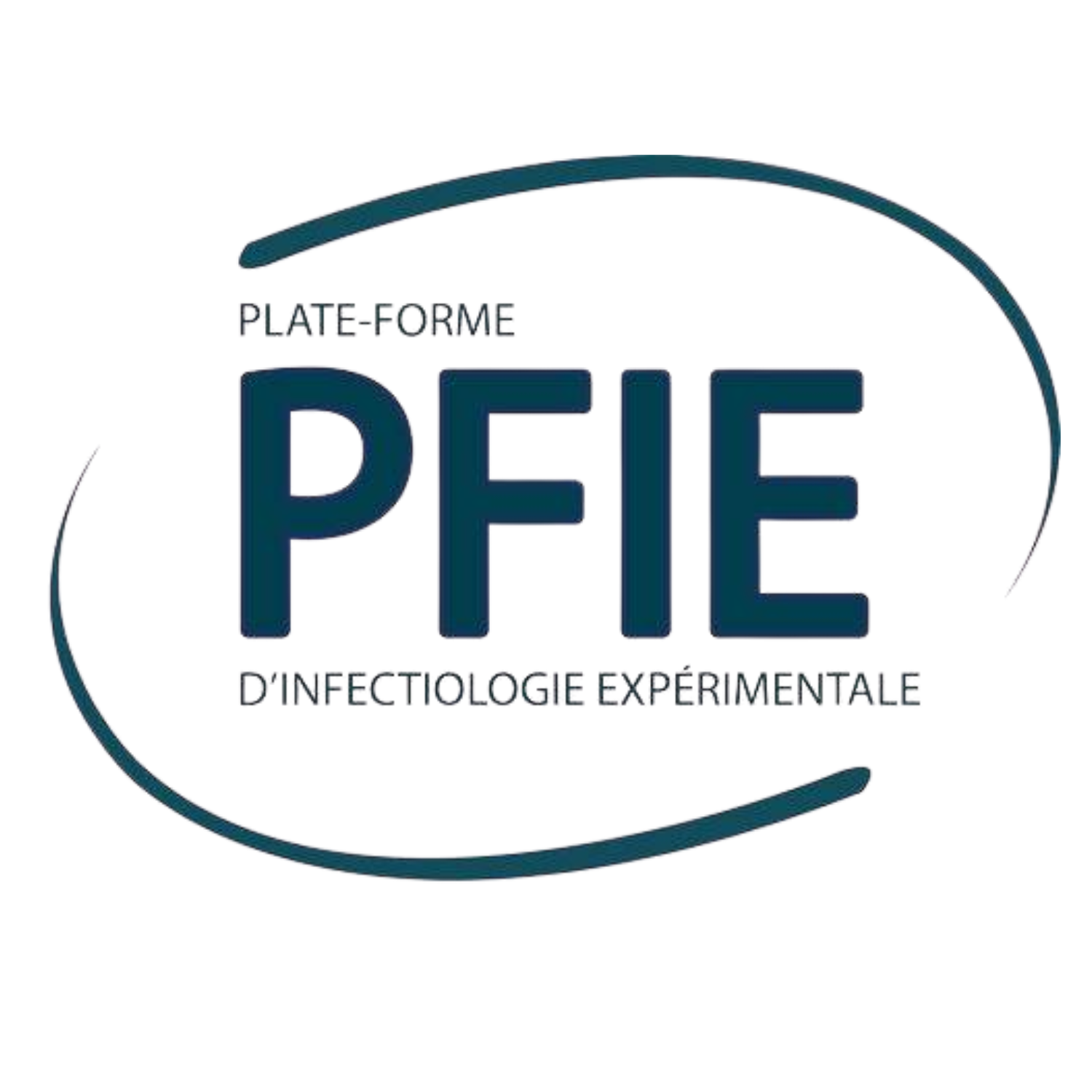 logo du partenaire