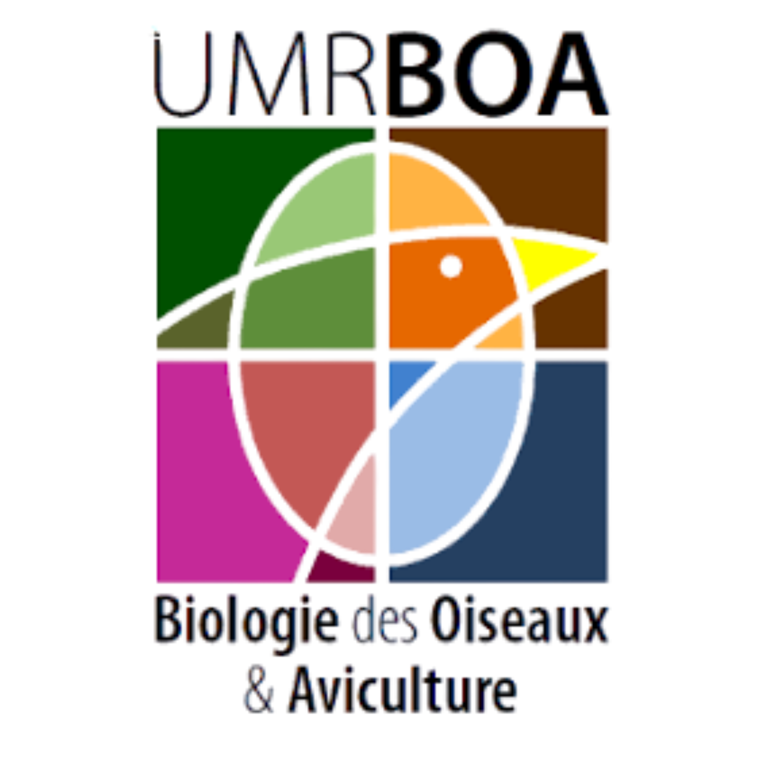 logo du partenaire