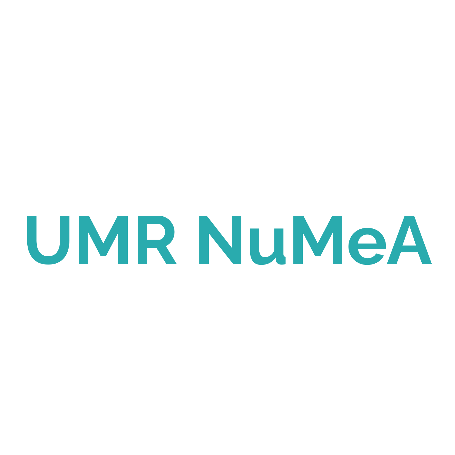 logo du partenaire
