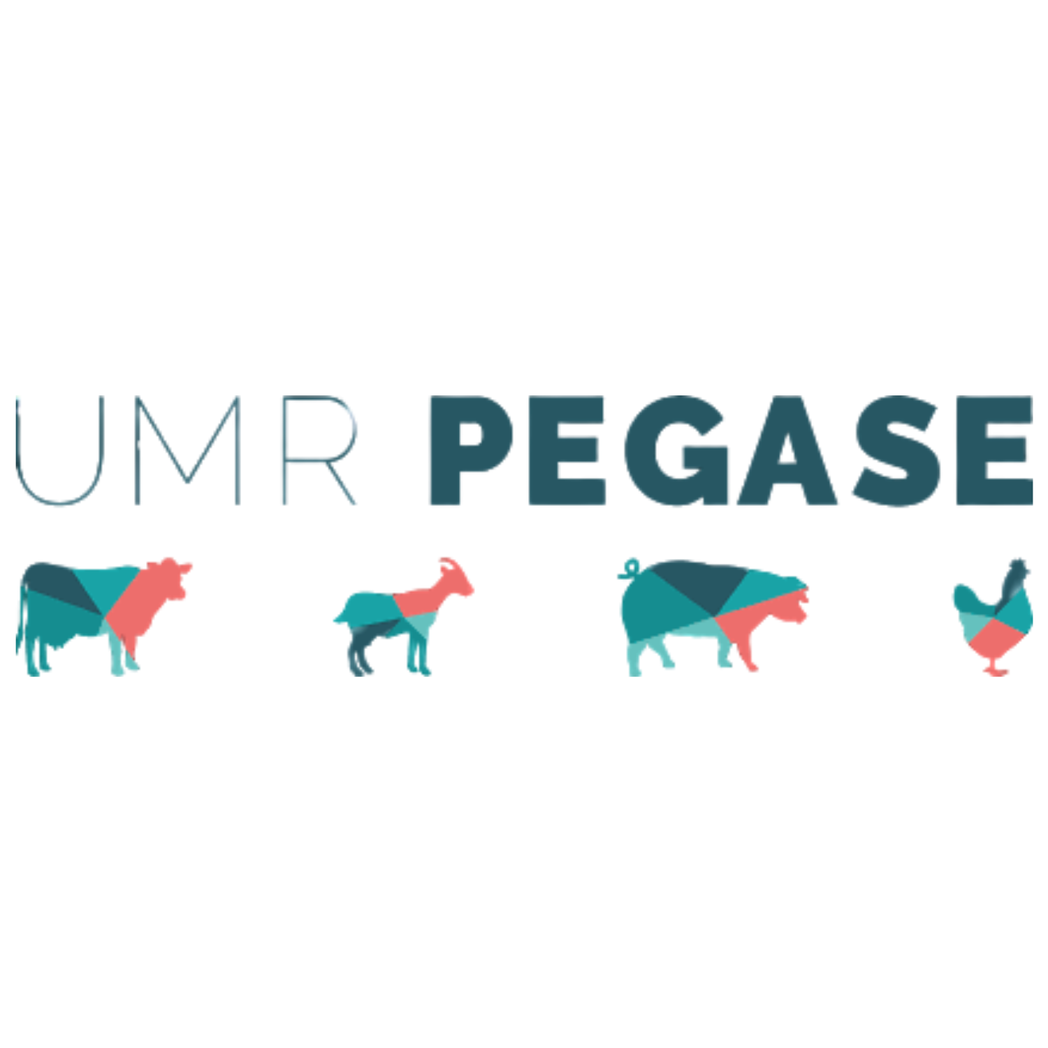 logo du partenaire